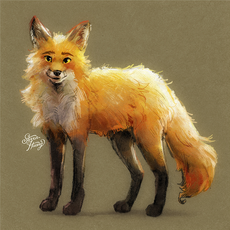 A fluffy fox has blessed your timeline. You'll have a good day! (by Steven Huang)