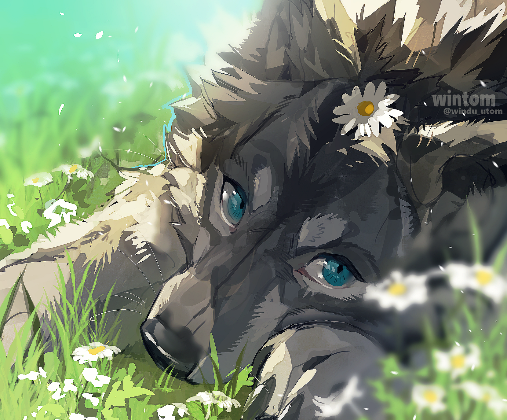 Daisy dog (by Windm)